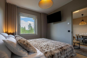 Levin Kunkku C9 by Loimu Travel in Kittilä